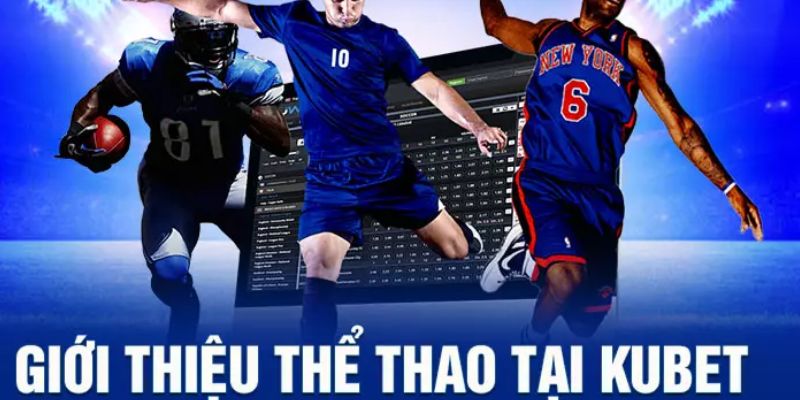 Lựa chọn nhà cái thể thao Kubet